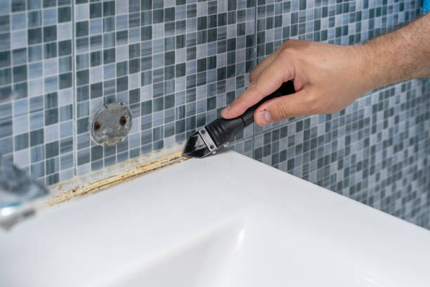 Best Fast Mold Removal  in Itasca, TX