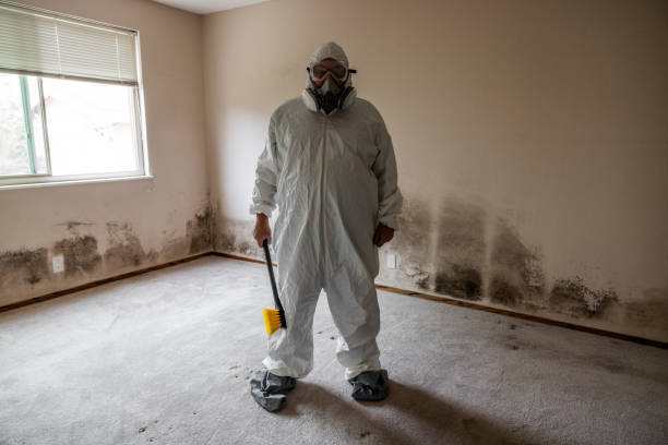 Trusted Itasca, TX Mold Removal Experts